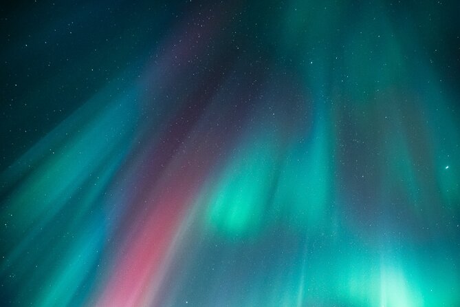 Rovaniemi: Aurora Activity Guarantee - 97% Success Rate Tour - Price and Value: Is $93.58 Worth It for Aurora Hunting?