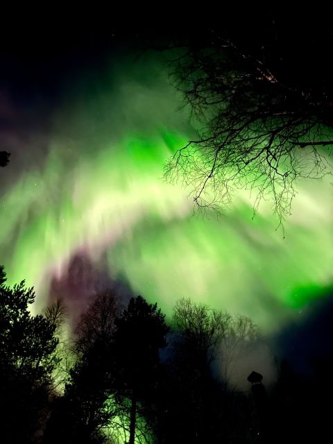Rovaniemi: Aurora BBQ at the Best Spots - Weather-proofing your expectations (and staying comfortable)