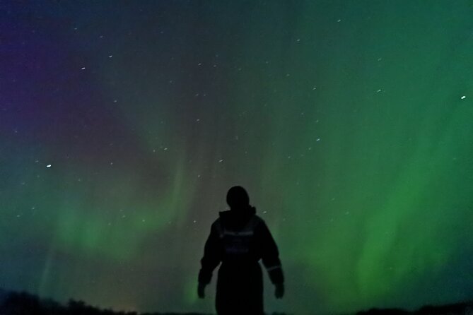 Rovaniemi: Aurora BBQ at the Best Spots - The guide component: what you gain besides directions