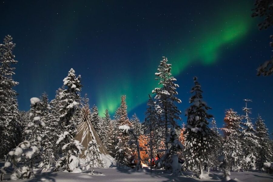 Rovaniemi: Aurora Borealis and Picnic - Key highlights at a glance
