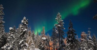 Rovaniemi: Aurora Borealis and Picnic - Meeting point timing: Safartica Office and the 25-minute rule
