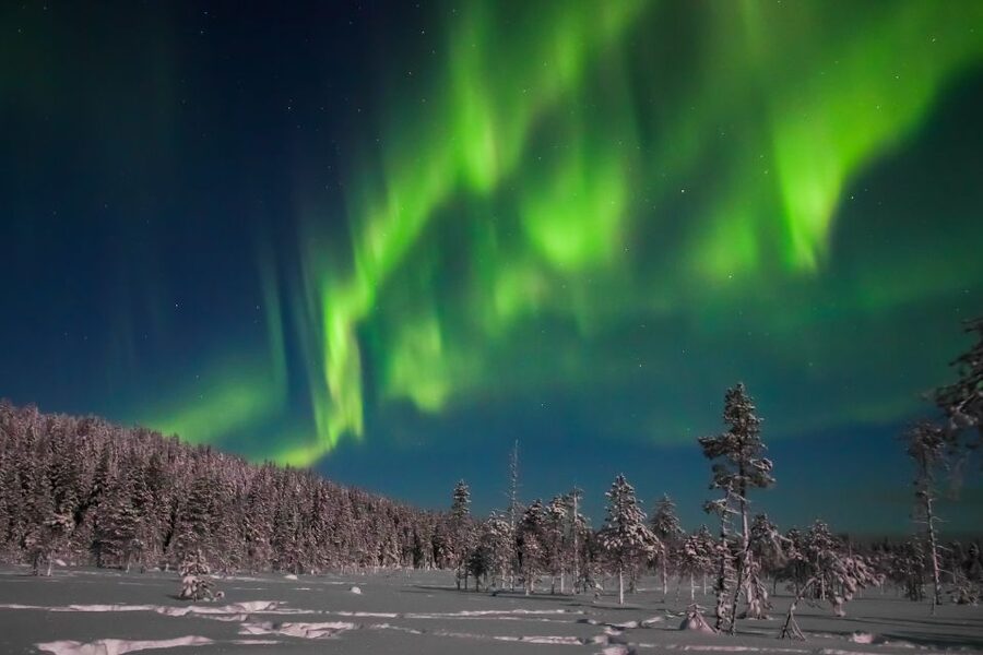 Rovaniemi: Aurora Borealis and Picnic - The open-fire picnic: sausage, pastry, and hot drinks