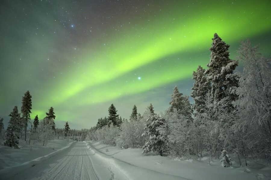 Rovaniemi: Aurora Borealis Snowmobile Safari with Campfire - Key things that make this tour work