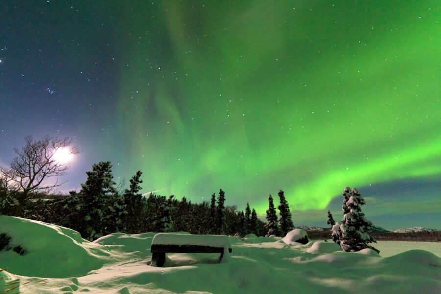 Rovaniemi: Aurora Borealis Snowmobile Safari with Campfire - Driving rules: who can drive, who rides, and why the license check matters