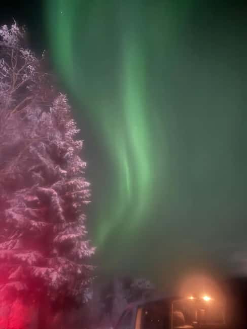 Rovaniemi Aurora Fire & Flavour — Arctic Gastronomy Tour - Wild berry juice and marshmallows: the small stuff that makes it feel real