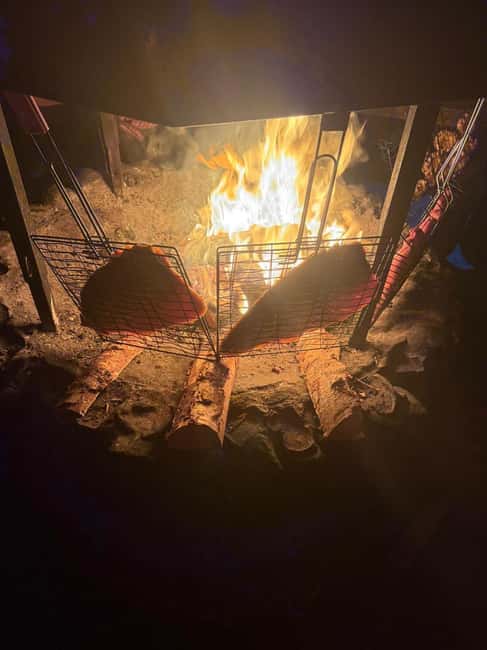 Rovaniemi Aurora Fire & Flavour — Arctic Gastronomy Tour - Who should book this, and who might skip it?