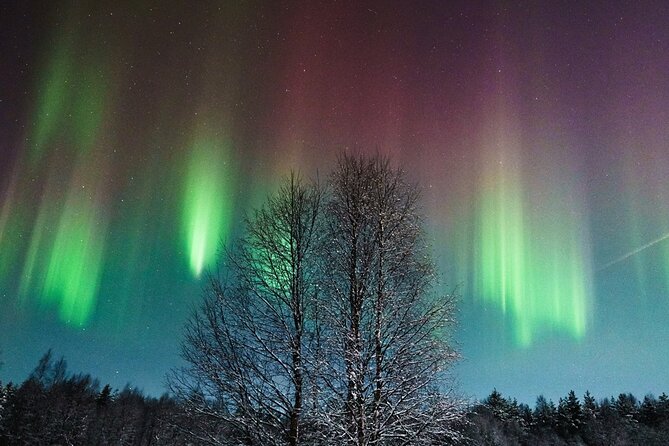 Rovaniemi: Aurora Hunt with Photograph & money back guarantee - Key highlights at a glance