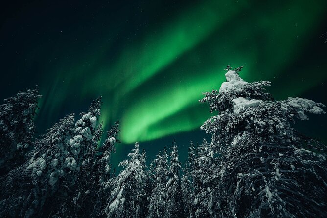 Rovaniemi: Aurora Hunt with Photograph & money back guarantee - The money back guarantee: how it works in plain language
