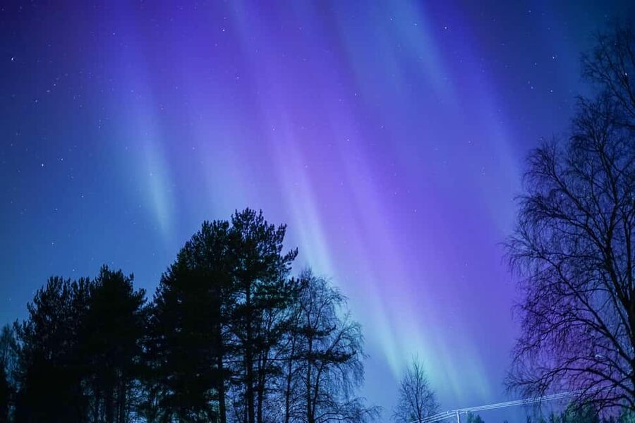 Rovaniemi: Aurora hunting and a fireside BBQ experience - The BBQ and fire setup: warm food beats cold patience