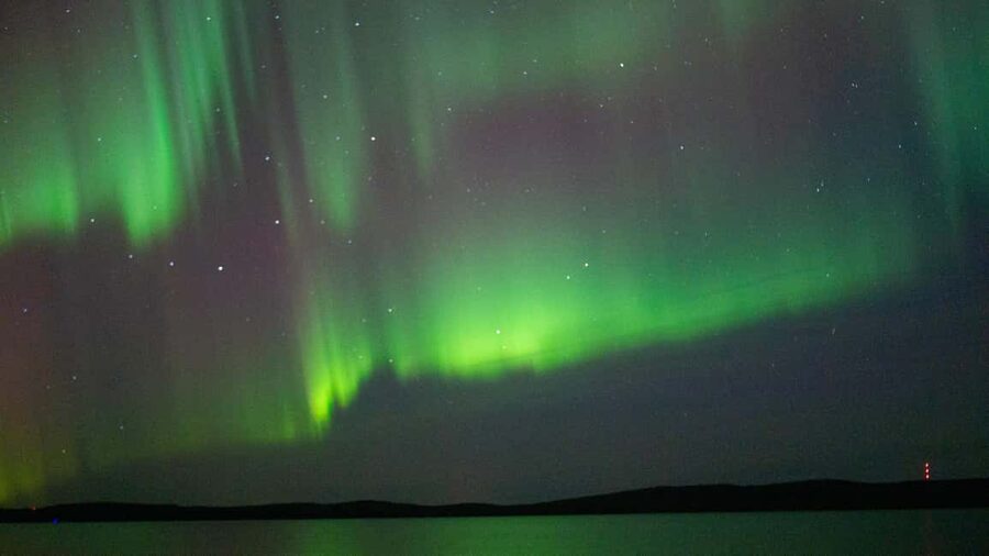 Rovaniemi: Aurora hunting and a fireside BBQ experience - Price and value: is $147 per person worth it?