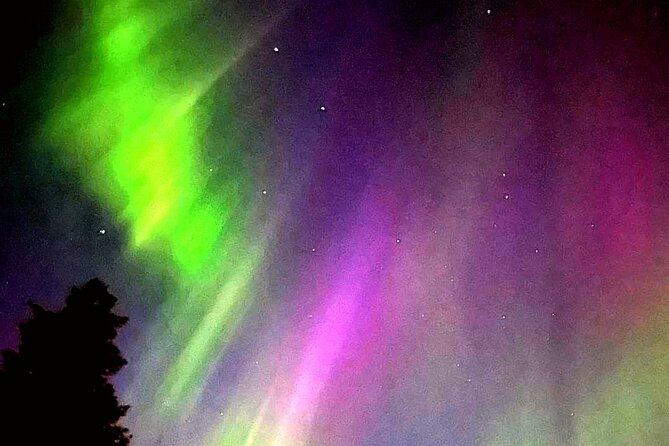 Rovaniemi: Aurora Hunting & Photography Tour - Key things to know before you go