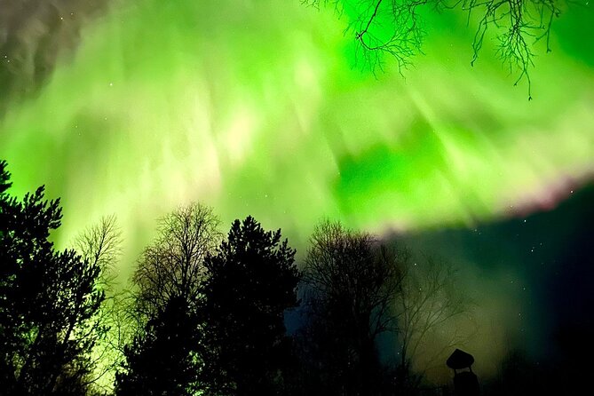 Rovaniemi: Aurora Hunting & Photography Tour - Price and what is really included at $200.01