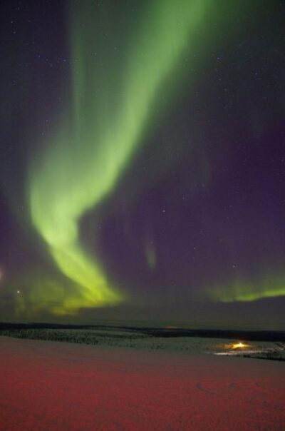 Rovaniemi: Aurora Hunting Photography Tour(98% Success Rate) - Price and what you actually get for $141