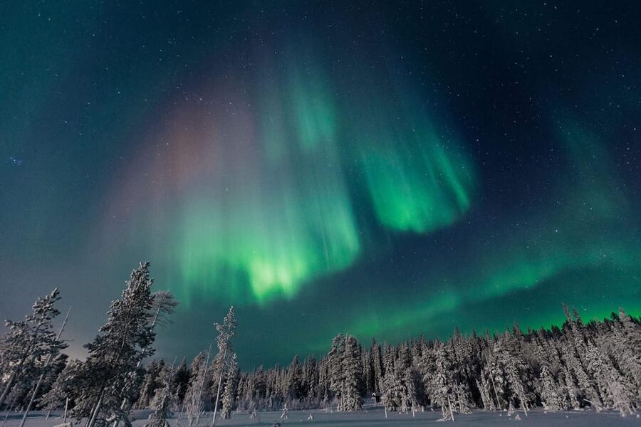 Rovaniemi: Aurora Hunting Tour in the Forest with Hot Drinks - Picking the sky: why you search several locations (and what you should notice)