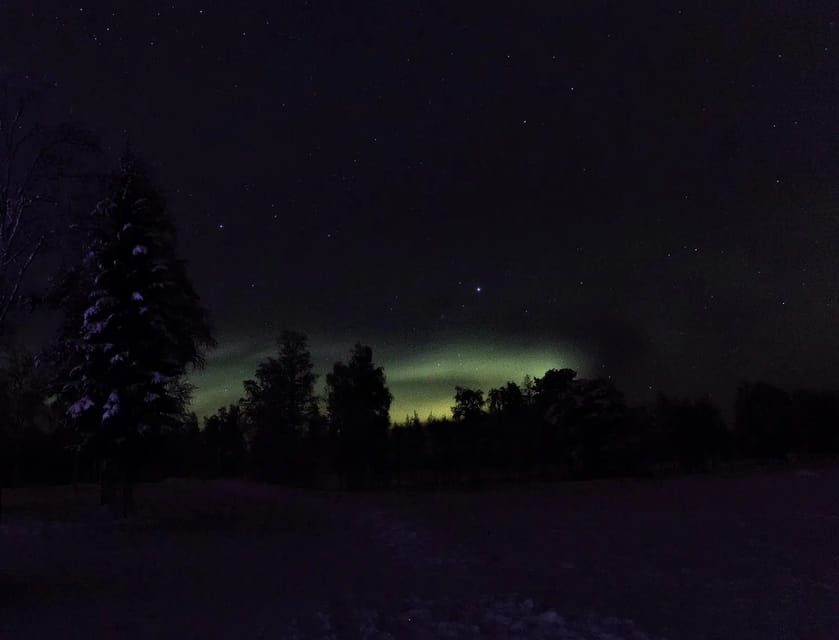 Rovaniemi: Aurora Hunting Tour in the Forest with Hot Drinks - The 3-hour flow in Rovaniemi: pickup, prime-time hunting, then campfire time
