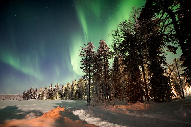 Rovaniemi AURORA PASS: 3-5 Days Unlimited Northern Lights chasing Pass - Key things that make this pass worth your time