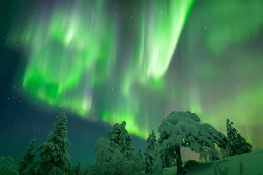 Rovaniemi: Auroras Northern Lights Trip - guaranteed lights - The whole plan: a short 5-hour aurora evening that stays comfortable