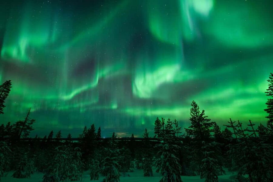 Rovaniemi: Best & Original Aurora Experience with Pro Photos - What the Guide Is Doing When They Drive (and Why You Should Care)