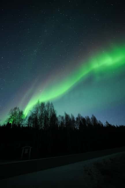 Rovaniemi: Coffee under Northern Lights & Professional Photo - Languages on the Tour: English, Portuguese, Spanish, and Better Understanding