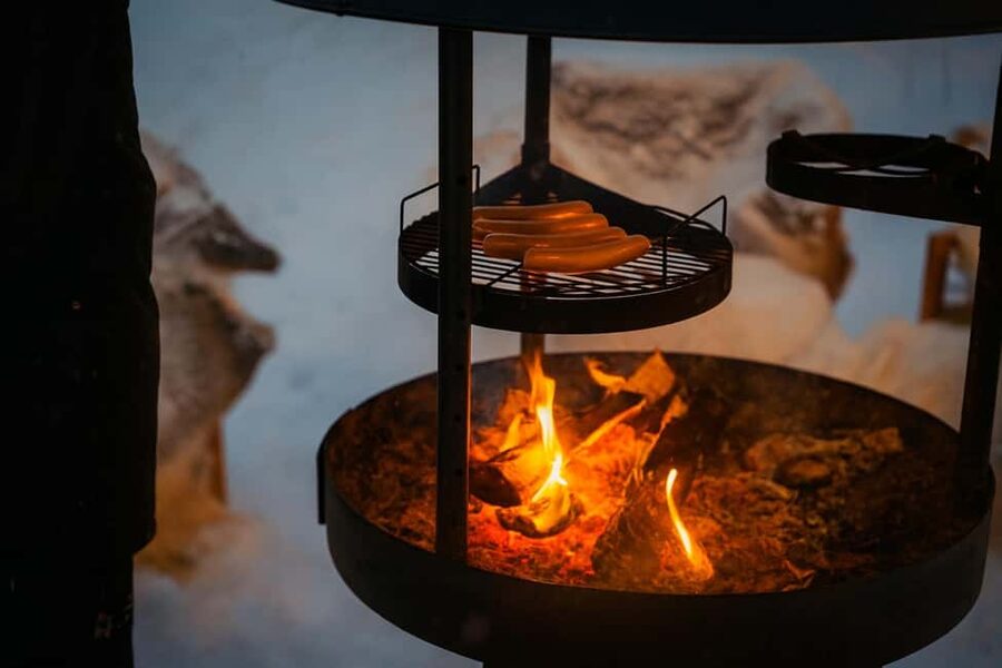Rovaniemi: Drive New 2025 Snowmobiles - Aurora Adventure - Price and Value: What $140 Covers (and Why It Often Feels Worth It)