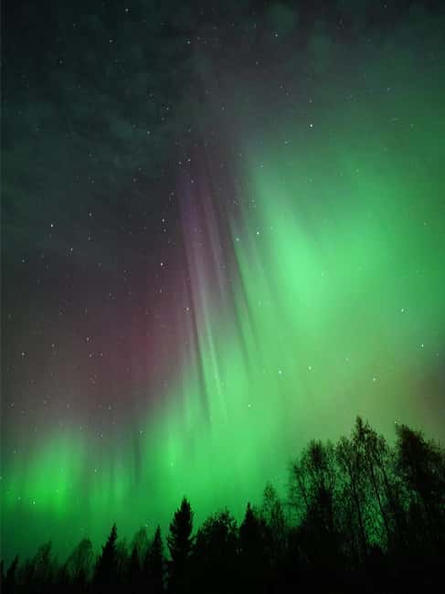 Rovaniemi: Family-Friendly Northern Lights Tour - Aurora Photography Tips That Don’t Overcomplicate It