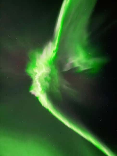 Rovaniemi: Family-Friendly Northern Lights Tour - Who This Tour Suits Best (Families, Friends, and Flexible Plans)