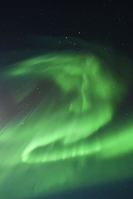 Rovaniemi: Family-Friendly Northern Lights Tour - Price and Value: What $76 Really Covers