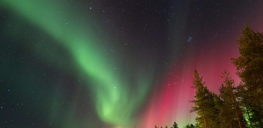 Rovaniemi: Guaranteed Aurora Hunting Tour with Local Guide - The Guide’s Role: Scanning, Persistence, and Real-Time Decision Making