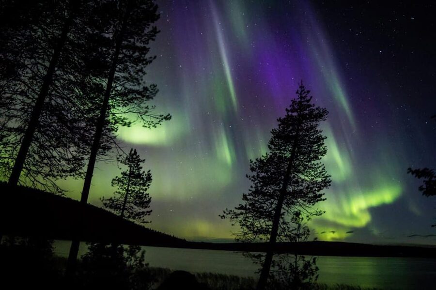Rovaniemi: Guaranteed Aurora Hunting Tour with Local Guide - Tips to Boost Your Odds Without Overthinking It