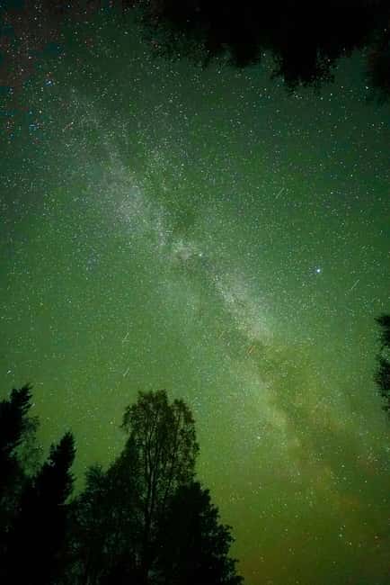 Rovaniemi: Guaranteed Aurora Hunting Tour with Photos&Videos - The guide and aurora hunting skills in practice