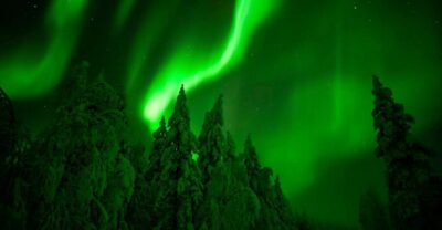 Rovaniemi: Guaranteed Northern Lights Hunting Adventure - How the 7-hour night expedition works in real life