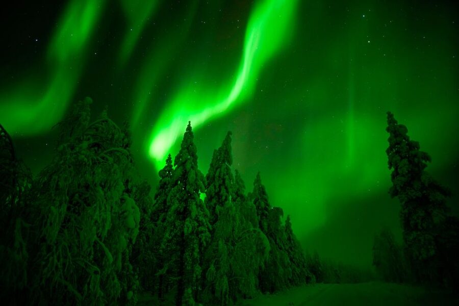 Rovaniemi: Guaranteed Northern Lights Hunting Adventure - Pickup from Rovaniemi: convenient if you are central, flexible if you are not