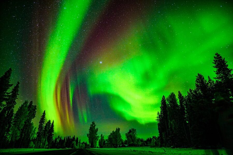 Rovaniemi: Guaranteed Northern Lights Hunting Adventure - Sustainability and tree planting: a small credit for doing it right
