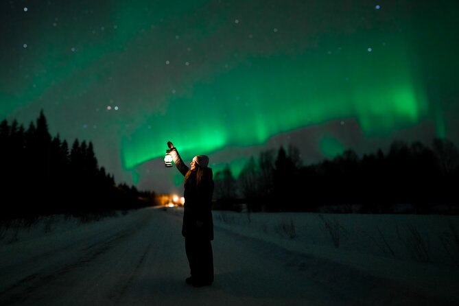 Rovaniemi: Guaranteed Northern Lights - Small Group & Photography - Pickup at Rovakatu and the Start-Time Reality Check