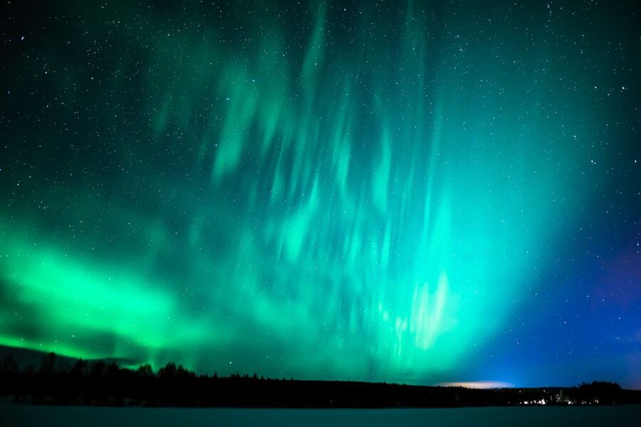 Rovaniemi: Guaranteed Ultimate Aurora Hunt with Photographer - Price and Value at $127: what you pay for besides transport