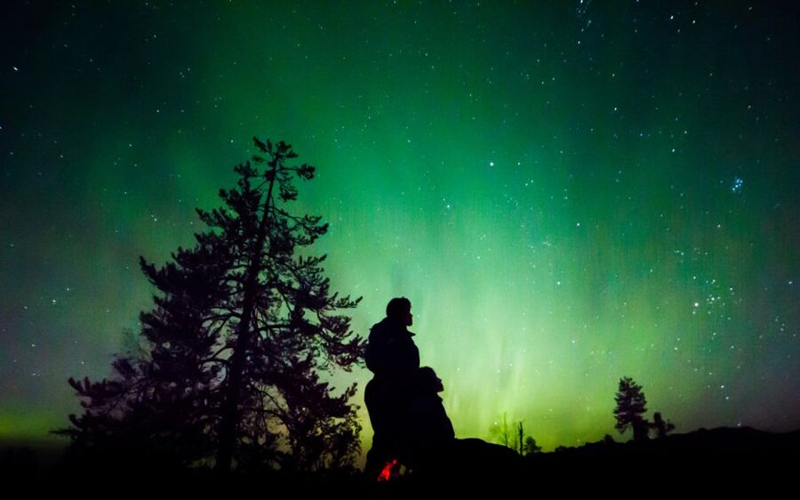 Rovaniemi: Guided Northern Lights Tour - Rovaniemi Northern Lights: why this tour is built for the dark sky