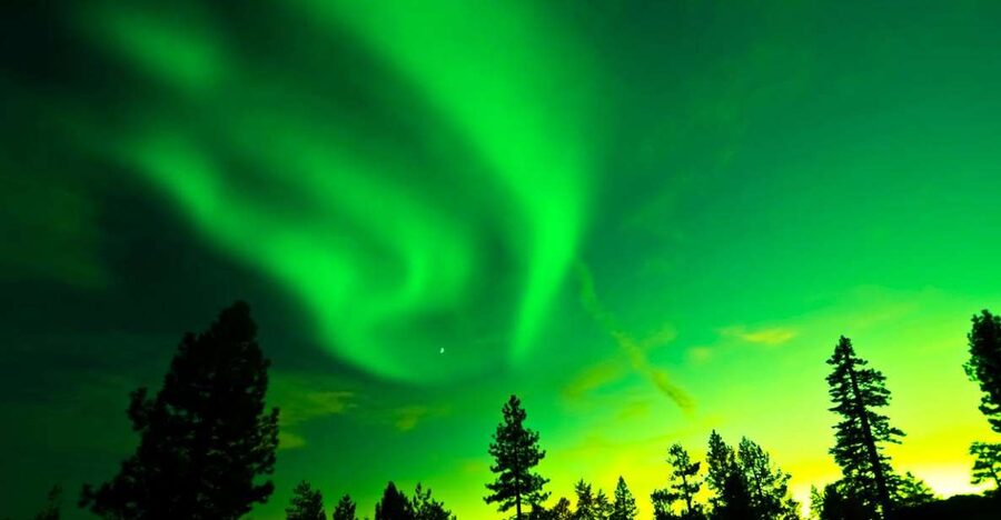Rovaniemi: Guided Northern Lights Tour - Aurora education that actually helps you spot the lights