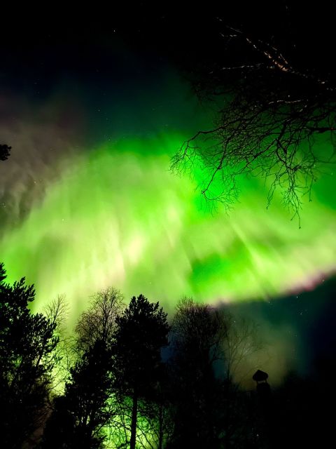 Rovaniemi Hunting Aurora at the Best Spots - Key takeaways before you go