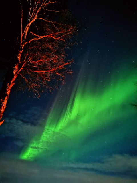 Rovaniemi Hunting Aurora at the Best Spots - Road-trip north: pickup, Santa Village, and the Arctic Circle drive