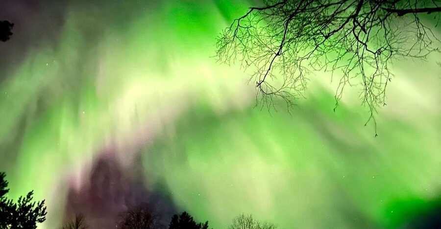 Rovaniemi Hunting Aurora at the Best Spots - What the guide teaches you: aurora basics and phone photo setup