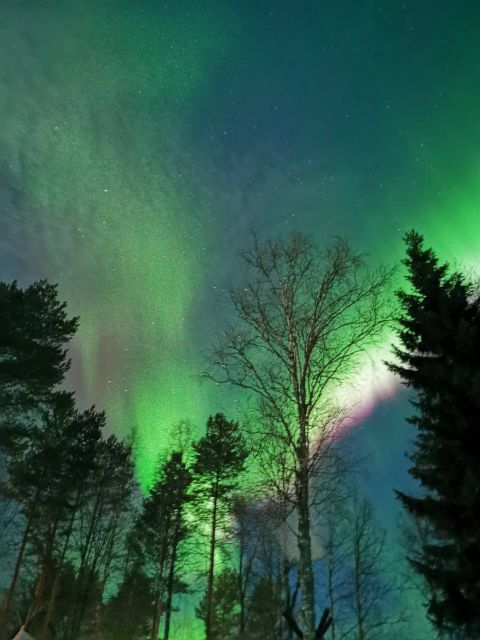 Rovaniemi Hunting Aurora at the Best Spots - Hot tea breaks and small-group comfort in the dark