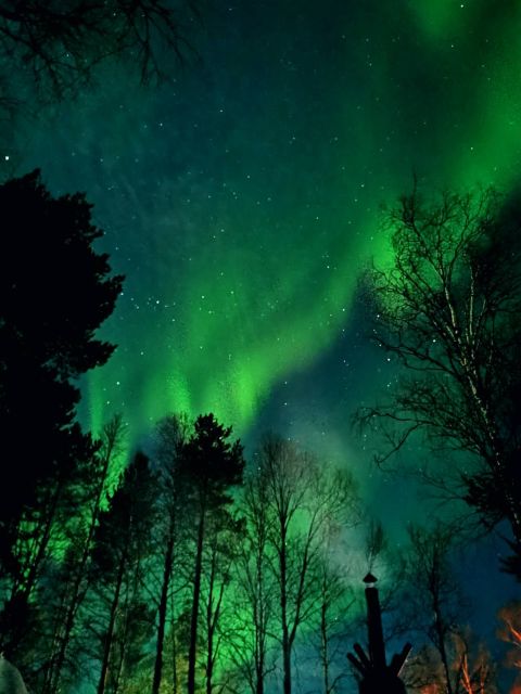 Rovaniemi Hunting Aurora at the Best Spots - Who this tour suits best (and who should think twice)