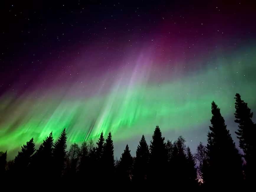 Rovaniemi Hunting Aurora at the Best Spots - Should you book this Rovaniemi aurora hunt?