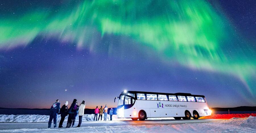 Rovaniemi: Hunting Northern Lights Bus Tour - What the guide adds beyond just driving: science + spotting tips