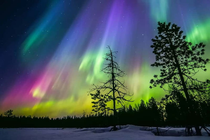 Rovaniemi: Ice Floating in Forest Lake with Aurora Borealis - From hotel pickup to a frozen-lake night in Rovaniemi