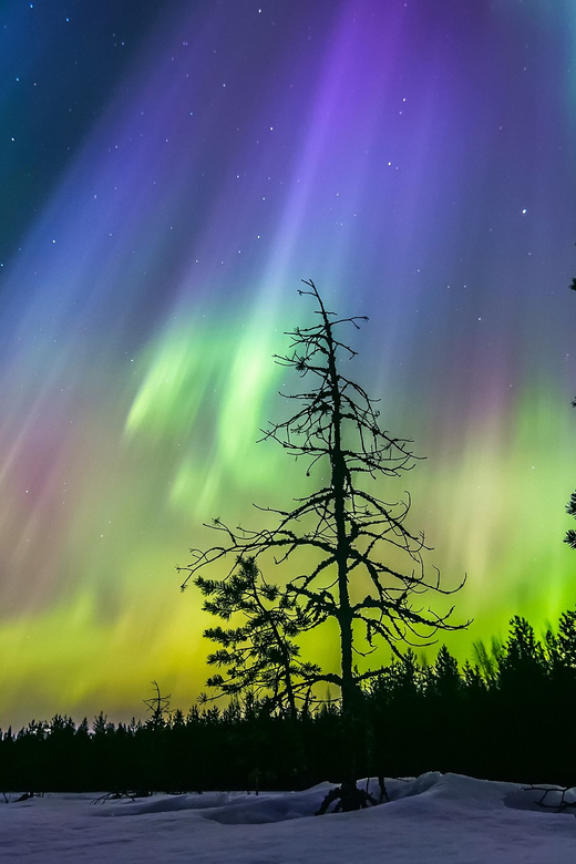Rovaniemi: Ice Floating in Forest Lake with Aurora Borealis - Aurora Borealis: chances, clouds, and how guides help you watch