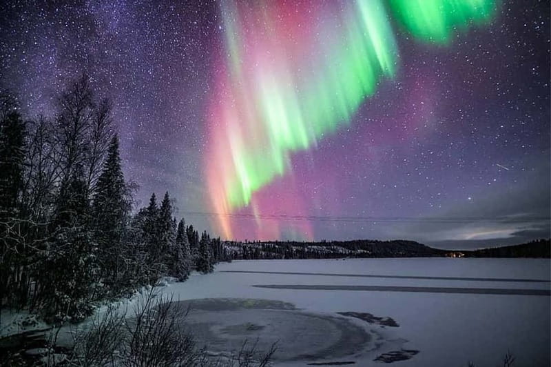 Rovaniemi: Ice Floating in Forest Lake with Aurora Borealis - Practical tips so your night feels easy