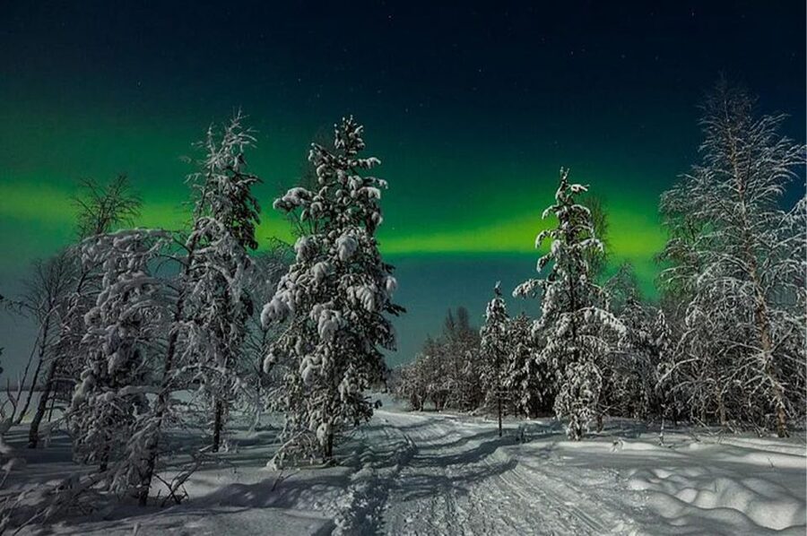 Rovaniemi: Northern Lights and Husky Sleigh Ride - Key Points You’ll Care About