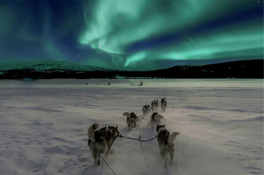 Rovaniemi: Northern Lights and Husky Sleigh Ride - From Husky Farm to Aurora Chasing in 3.5 Hours