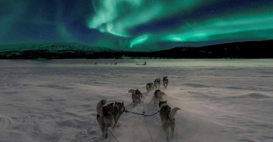 Rovaniemi: Northern Lights and Husky Sleigh Ride - What the Tour Gives You (and What You Still Need to Bring)